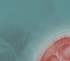 Chronic Kidney Disease